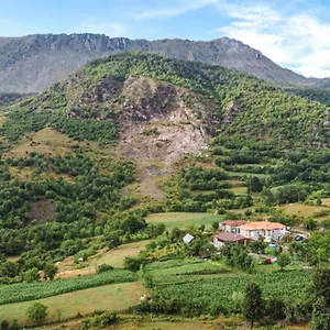 Disha Tirana